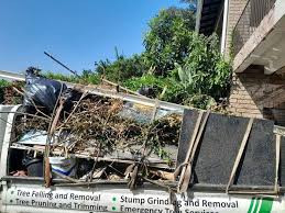 Best Construction Debris Removal  in Oak Ridge, FL